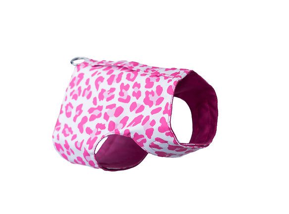 089e78 c511576eb55b48269dbf41d2612059e2mv2