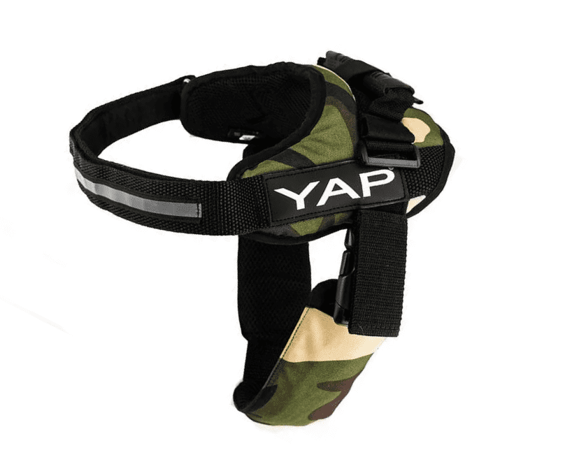 Beta Noir Classic Dog Harness for Larger Dogs 1 Beta Noir Classic Dog Harness for Larger Dogs