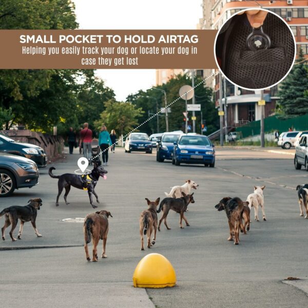 Best dog harness with all features in USA yapstores