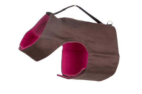 56f687 bbb01a04c47f4e4c9cc7fbb9338e880bmv2