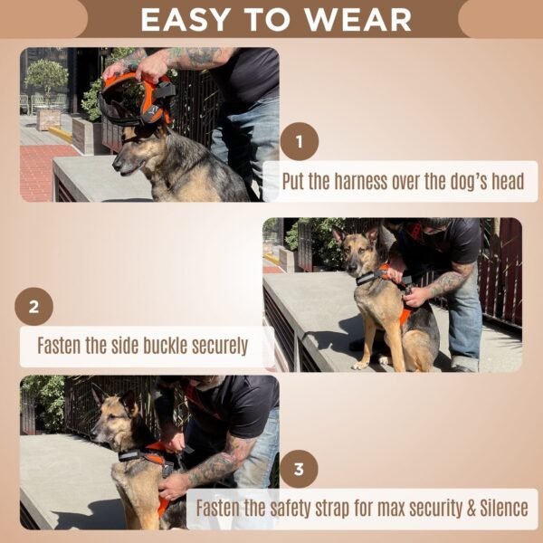 Measure dog for harness before selecting YAP USA walking gear