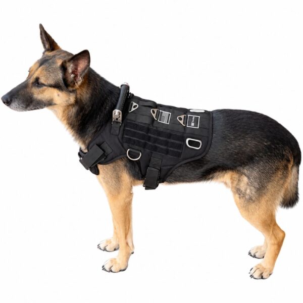 LBT Tactical K9ハーネス　ドッグハーネス　シールチーム　ハンドラー K9i TactiKal