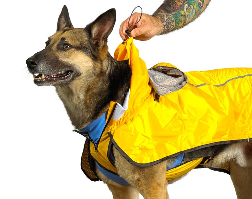 Dog Walking Gear for wet weather walks with YAP USA
