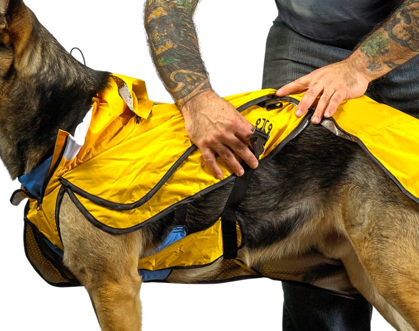 Dog Walking Gear waterproof harness and coat combo for rainy walks