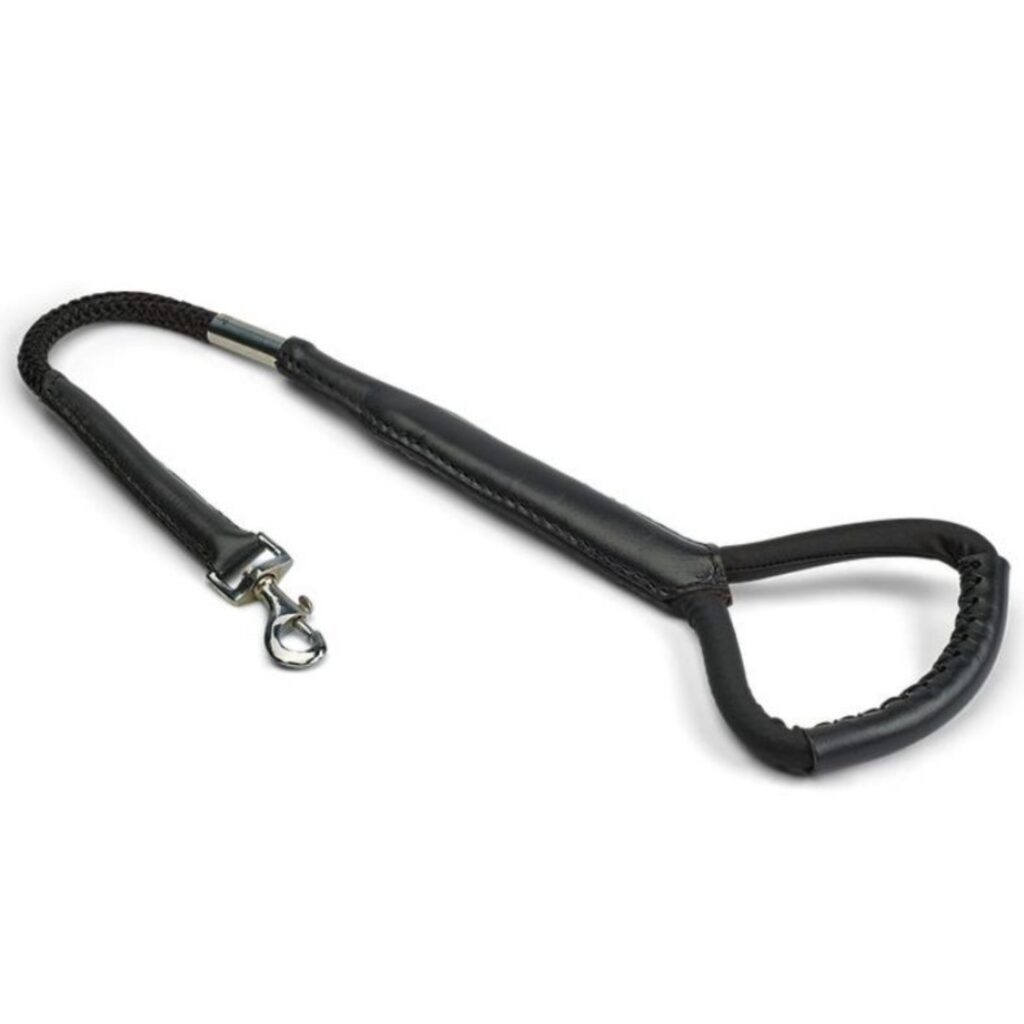 No. 27 Dog-Leash