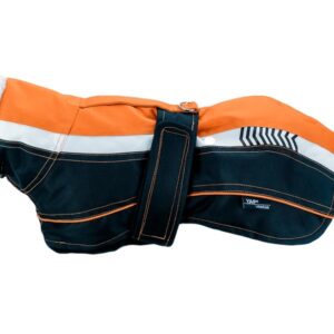 Vitesse Dog Coat for active cold weather