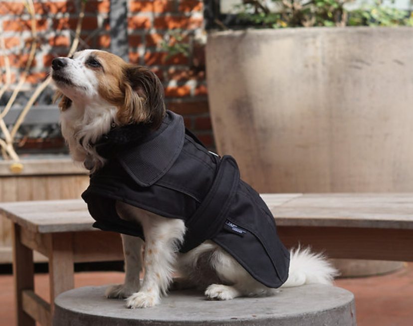 Vitesse Coat® - Image 3