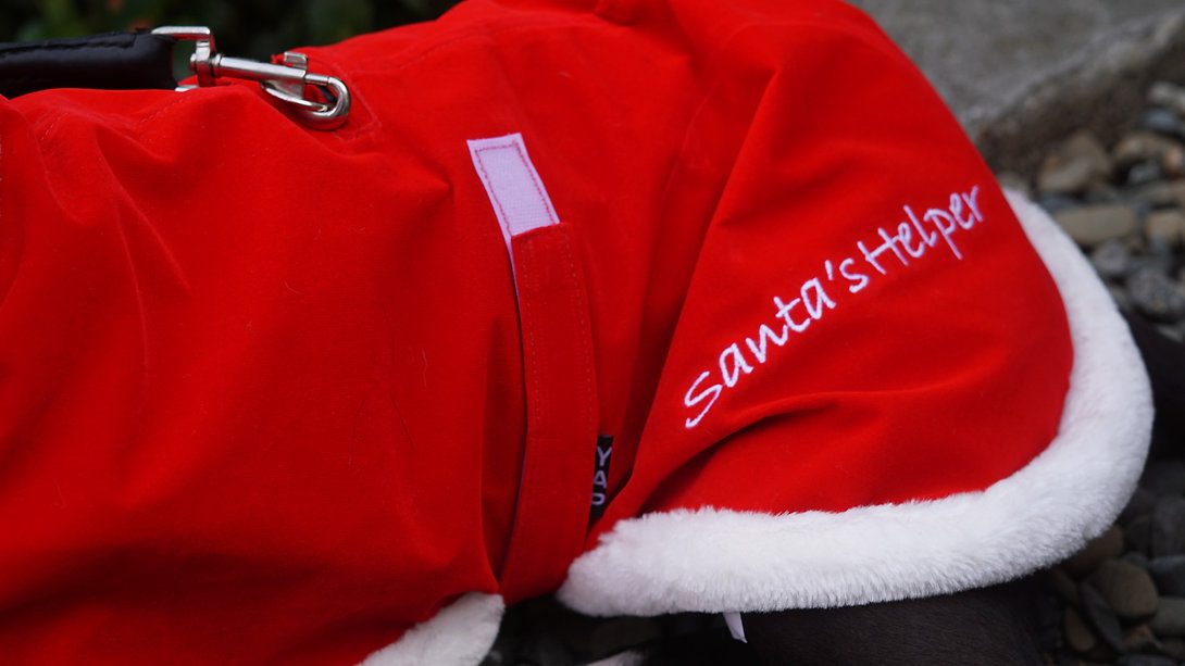 Santa Coat - Image 4