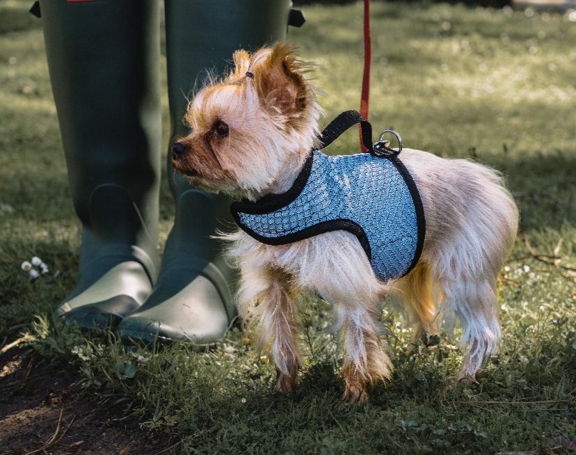 d899ab 2ffa4c388993424d812632bff61e6f4amv2