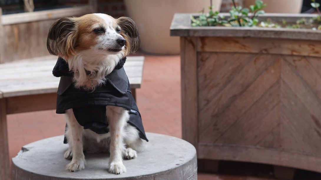 Vitesse Coat® - Image 5