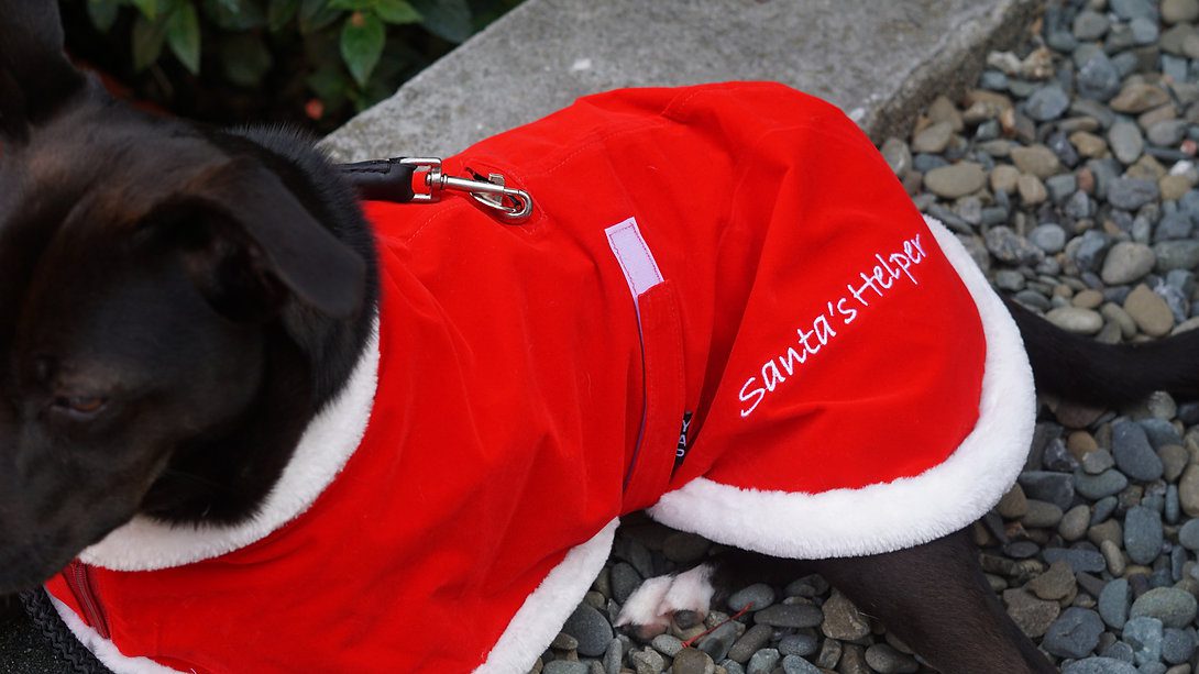 Santa Coat - Image 2