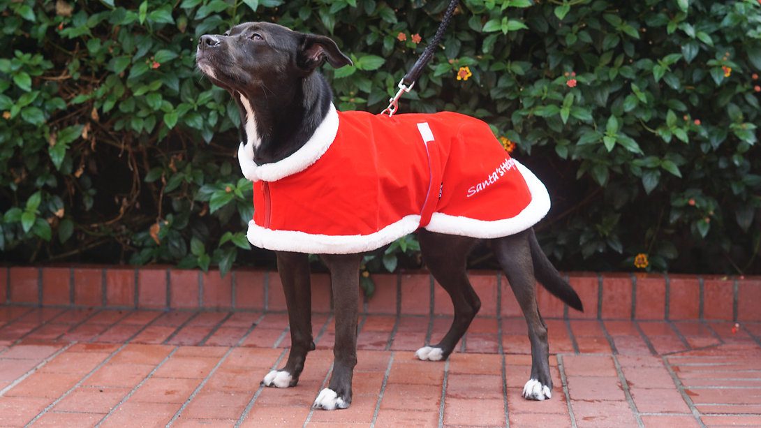 Santa Coat - Image 5