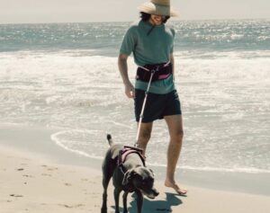 Jogging Dog Leash Package - dog leash