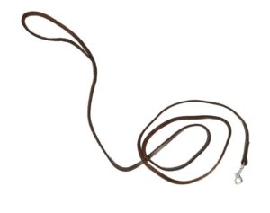 Extra Light Weight Dog Leash - dog leash