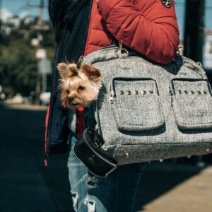 Metropolitan Dog Carrier