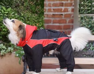 YAP Ski Adjustable Dog Jacket