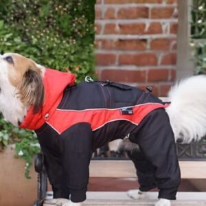 YAP Ski Adjustable Dog Jacket