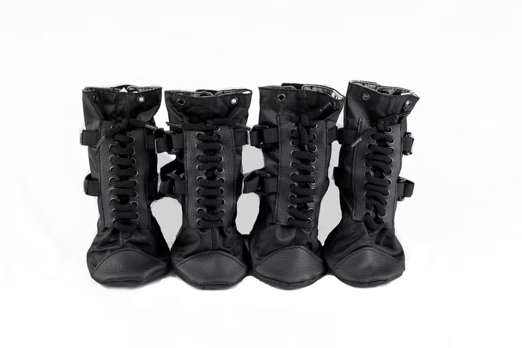 ASK YAP: Should My Dog Wear Dog Boots?