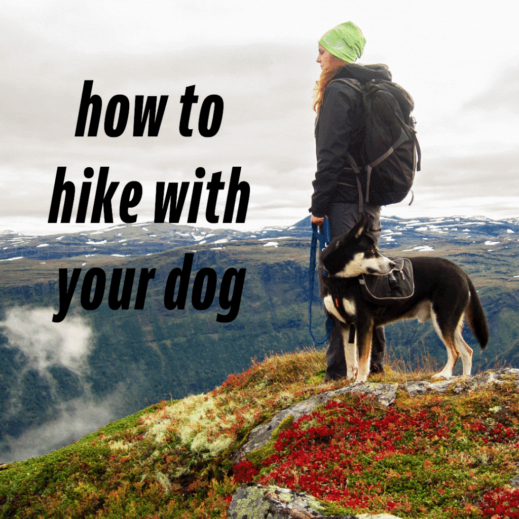 089e78 90e7796861f24ac89f945ba2e96827cdmv2