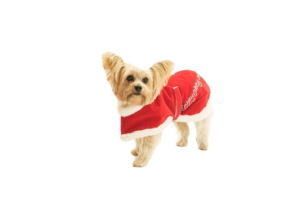 Show Up in Style This Holiday Season