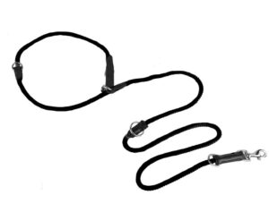 Hands Free Dog Leash - dog leash