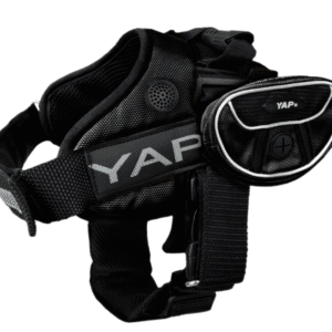 Beta Noir Dog Harness for Larger Dogs