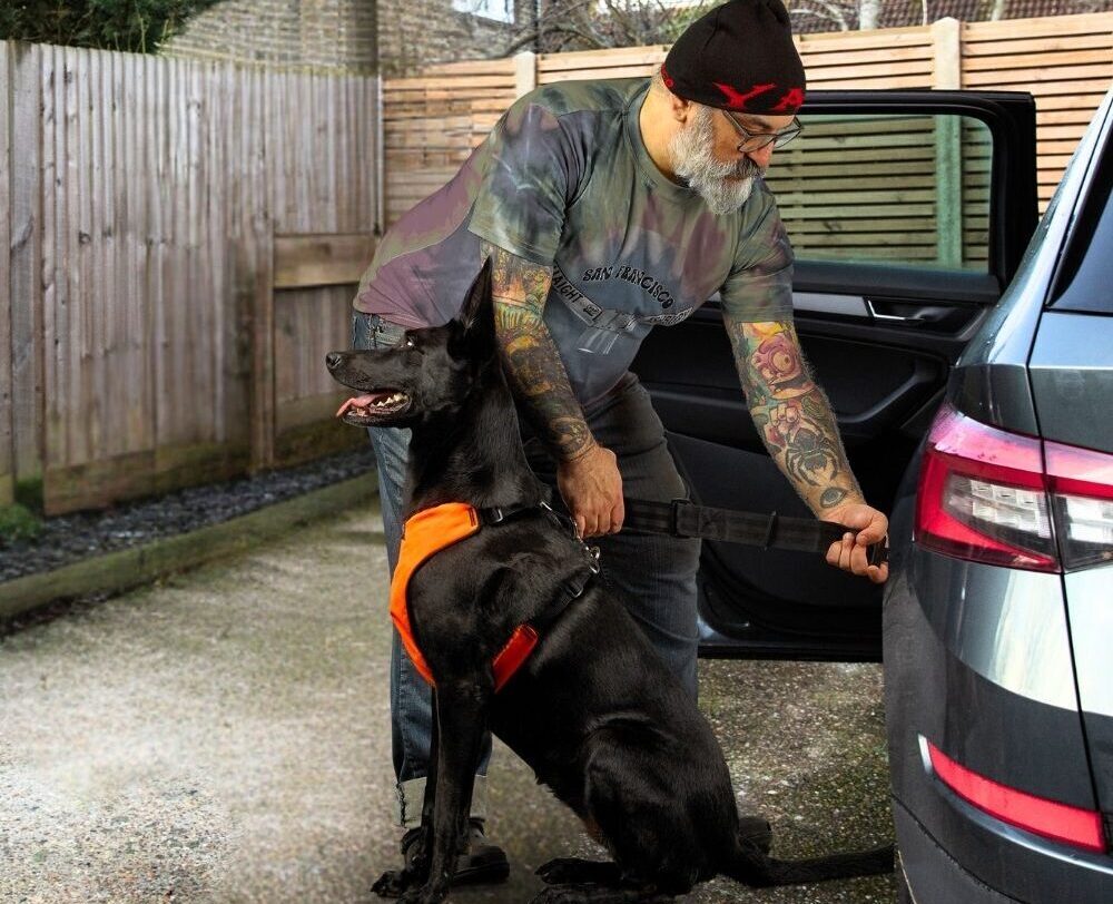 infrographic e1764268945201