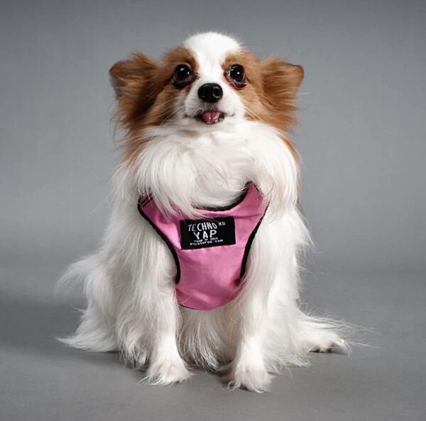 Dog Walking Gear rain coat for dogs with waterproof coverage