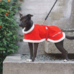 Santa Dog Coat for All Breeds