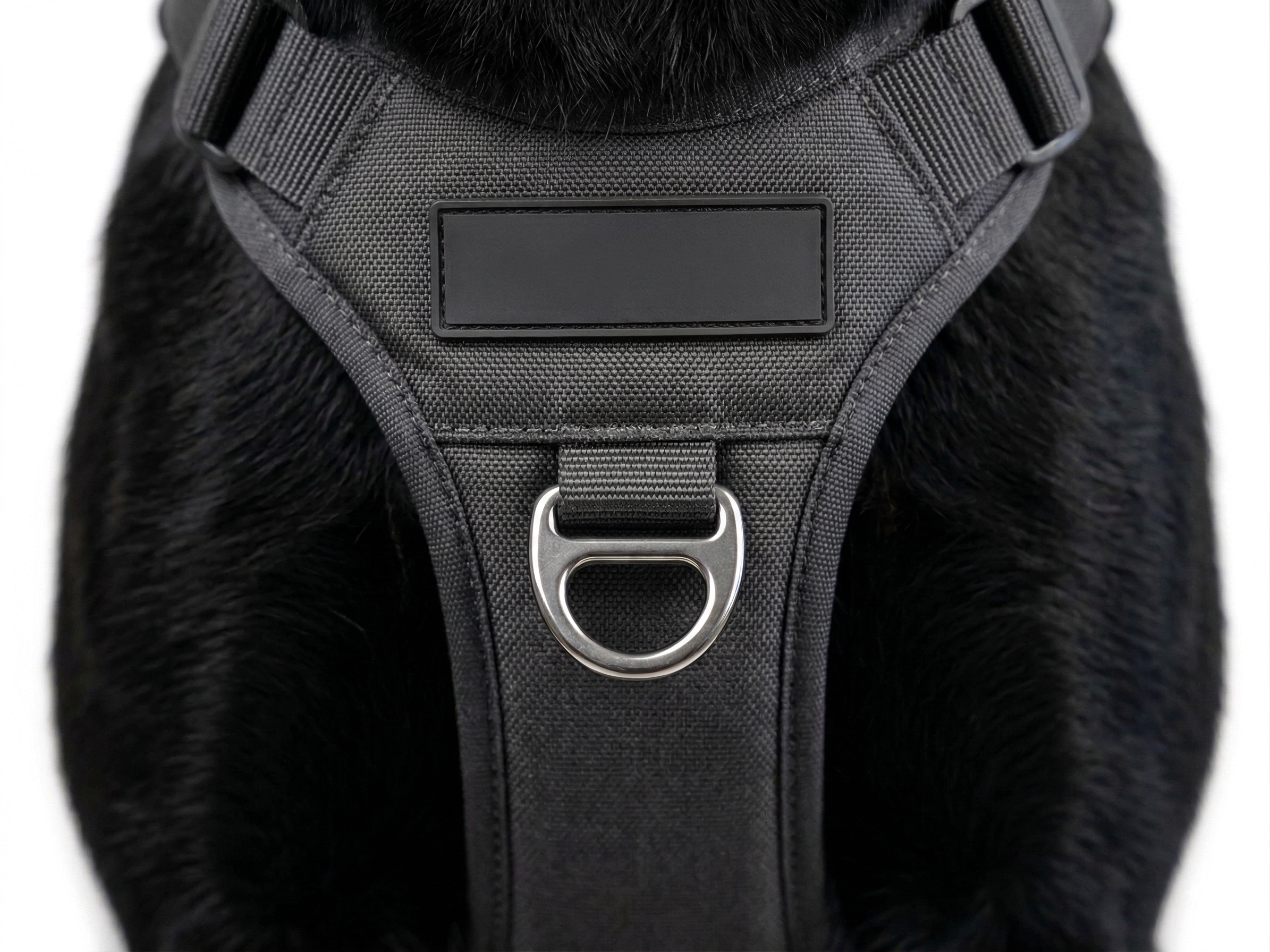 Gemini Generated Image isijt7isijt7isij