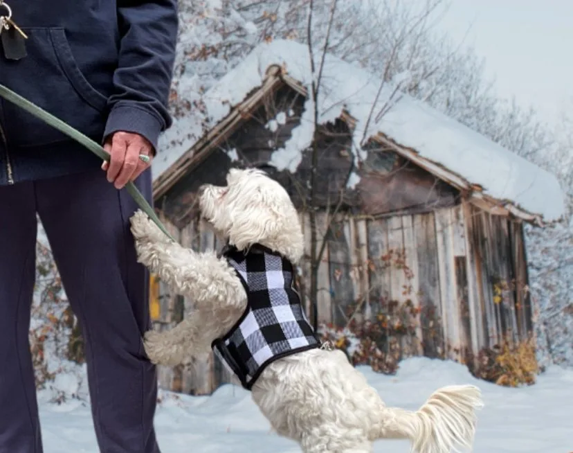 aa90426bvgkozhnmmb1d