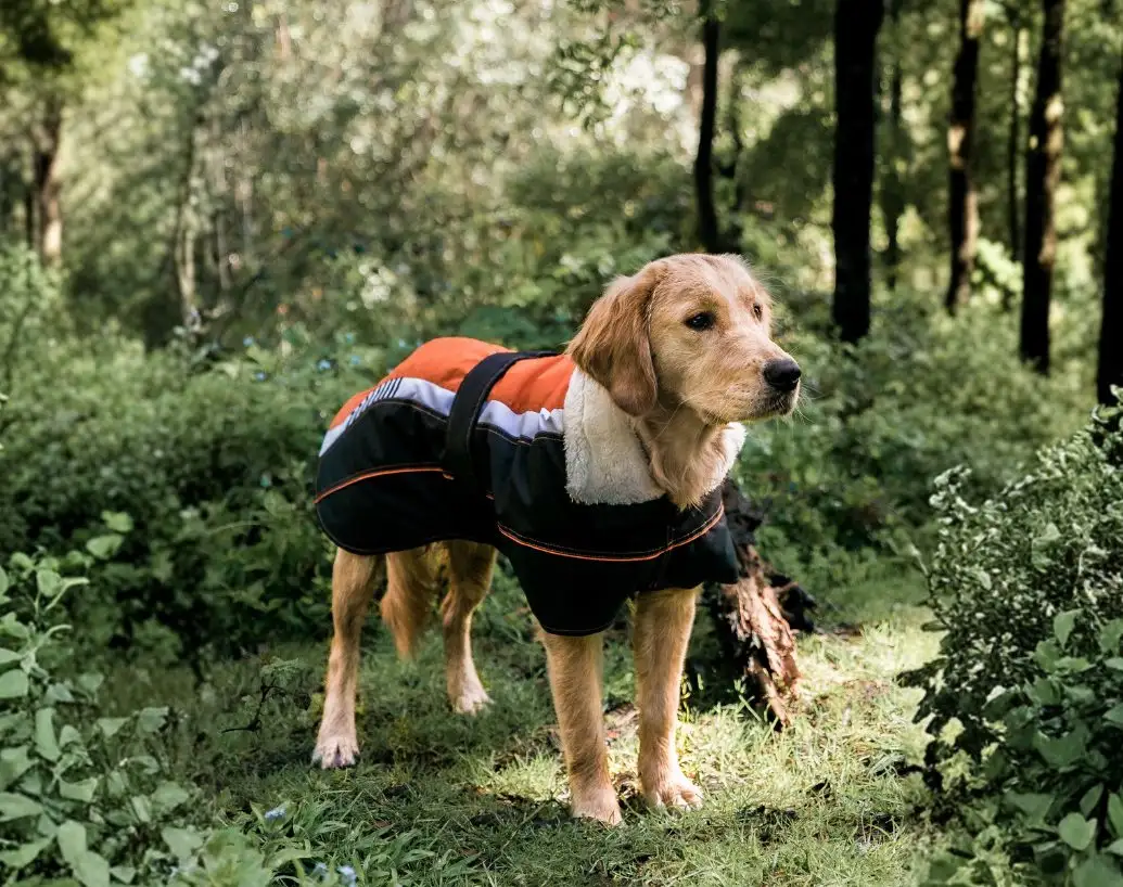Vitesse® Dog Coat for Active Cold Weather, yapstores USA