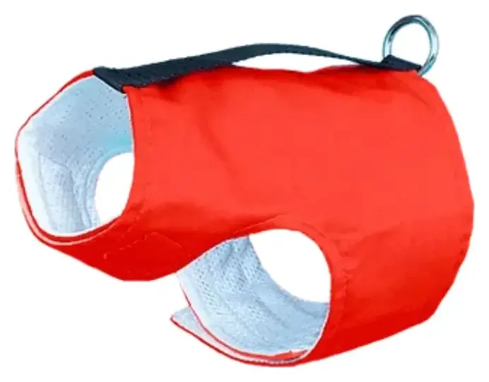 Techno Wrap