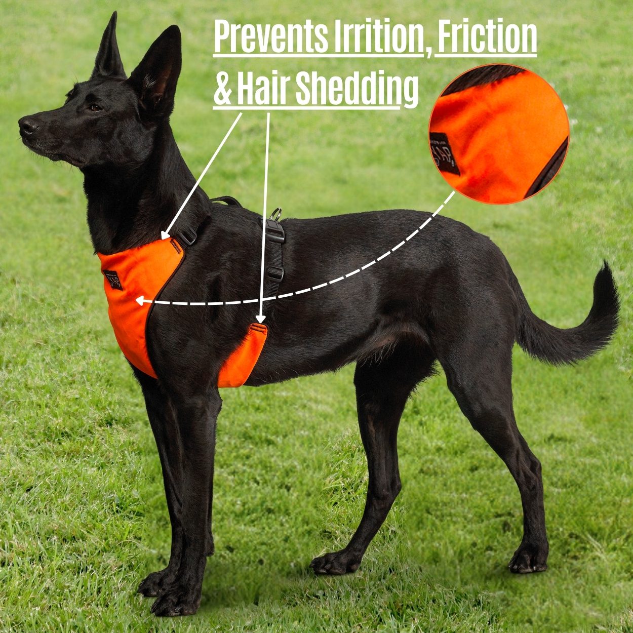 Techno Best Dog Harness® Secure Fit for Dogs 8 to 175 lbs