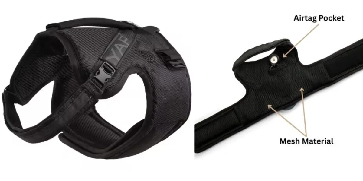 Close-up of a dog wearing a lightweight, padded mesh dog harnesses in black, featuring a secure integrated AirTag pocket