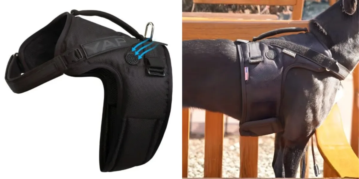 Best Male Dog Wraps YAP Stores engineered choke-free harness wrap system