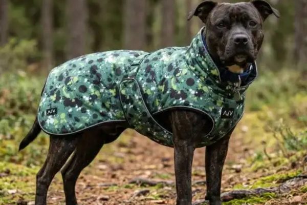 Tech best rain coats for Dogs – Pollock Green Coat for Small Breeds