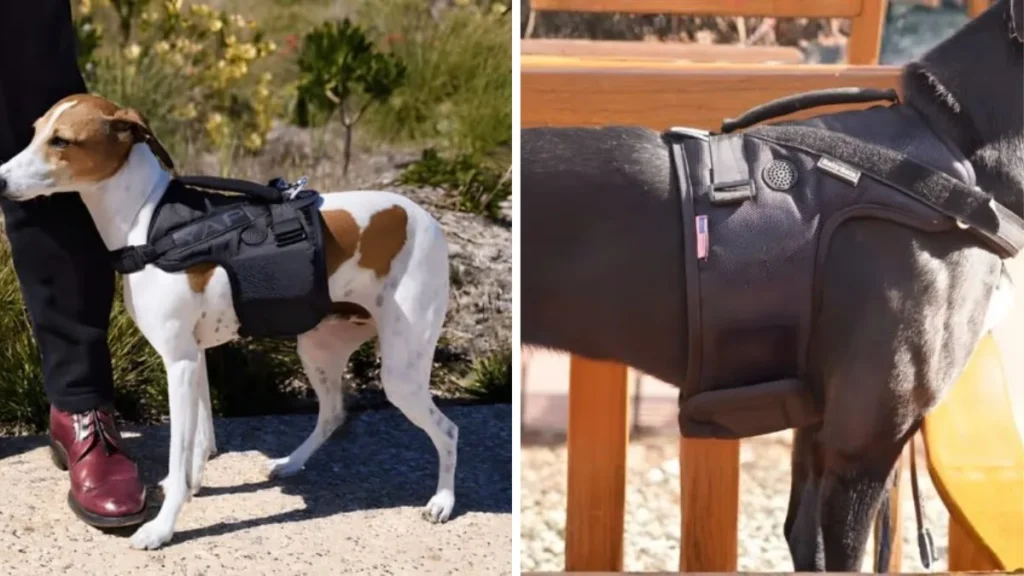 Baby Beta Airflow Tactical Dog Harness – Secure Fit in USA