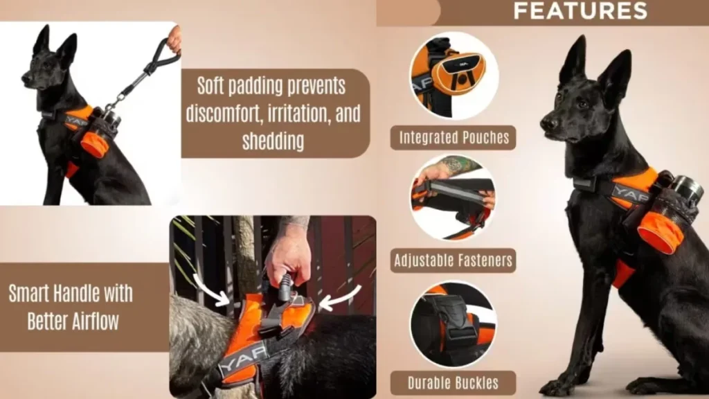 Beta Noir® Package Dog Harness for Larger Dogs in USA yapstores