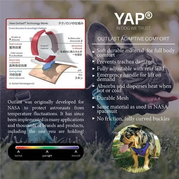 Sports Techno Dog Harness® Baseball #2 in USA yapstores