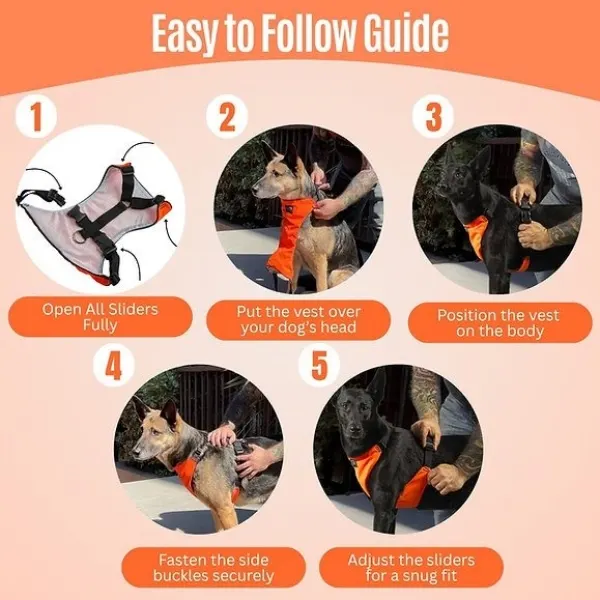 Techno Dog Harness® Secure Fit for Dogs 8 to 175 lbs in USA yapstores