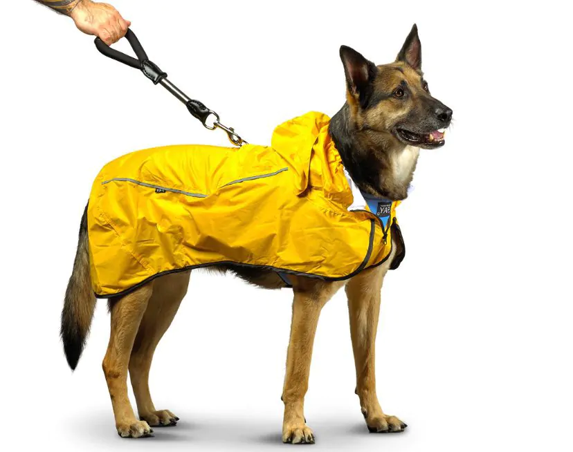 premium dog accessories online category grid