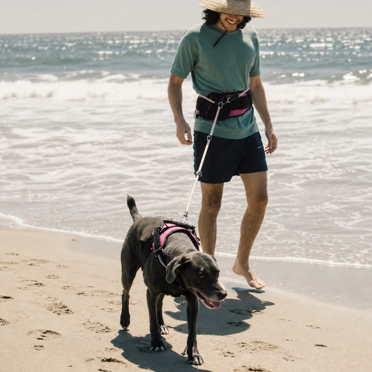 dog leashes padded leather and comfort engineering