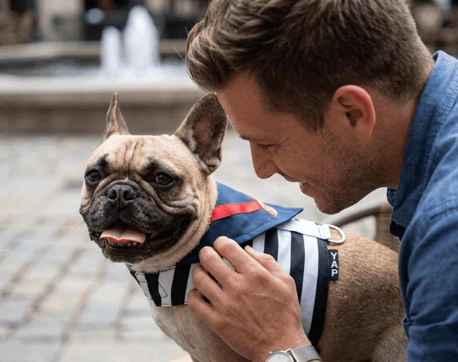 YAP USA Engineered Harnesses & Specialized Field Gear for All-Sized Dogs 26 Gemini Generated Image ocphsnocphsnocph Picsart