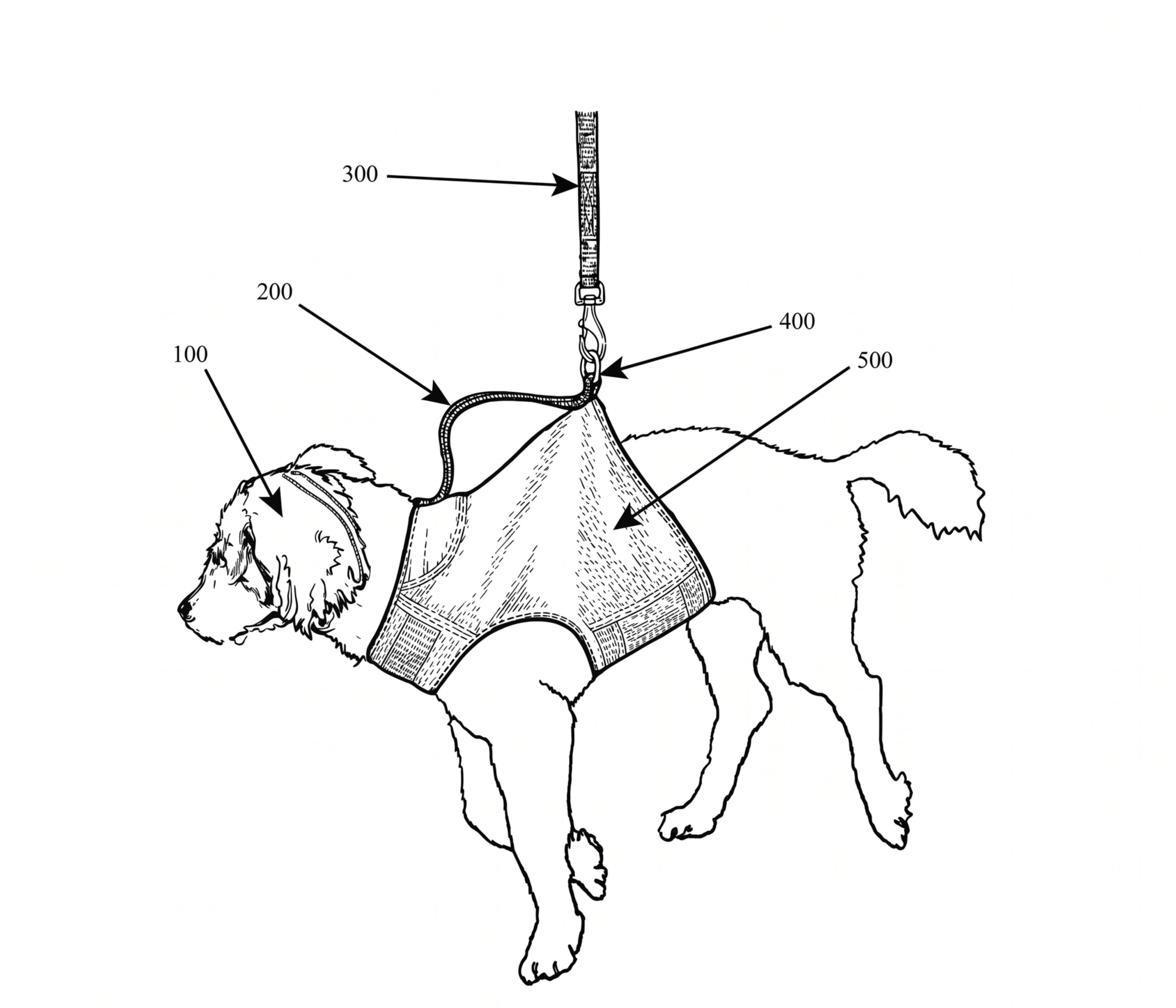 dog harness USA worn by an active dog outdoors