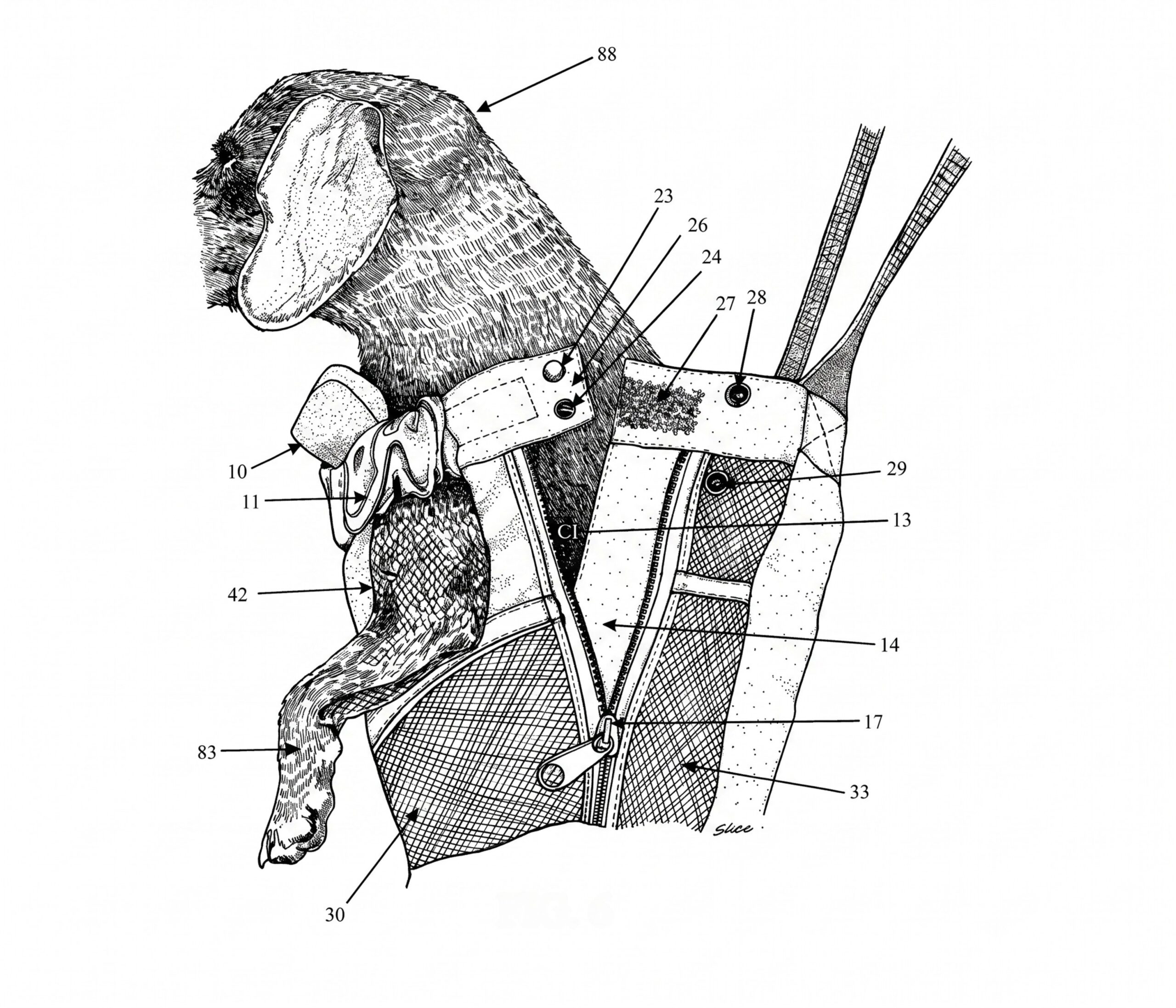 YAP USA dog gear engineering and fit testing