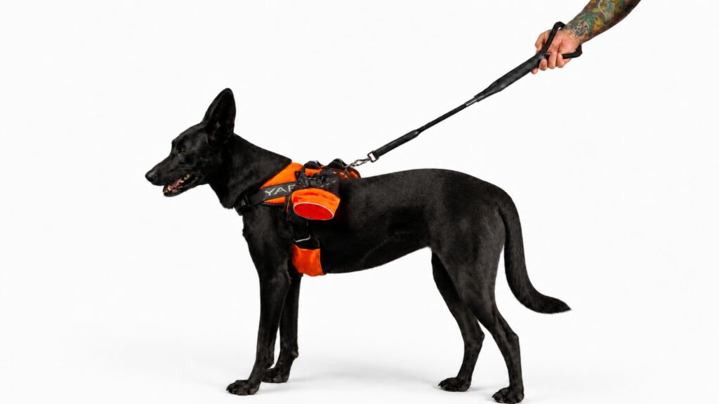 YAP USA Engineered Harnesses & Specialized Field Gear for All-Sized Dogs 26 Untitled design 2026 08 10T114522.820