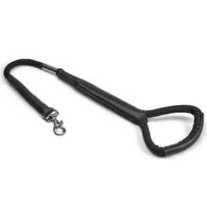 No. 27 Leash