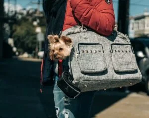 Metropolitan Carrier Bag
