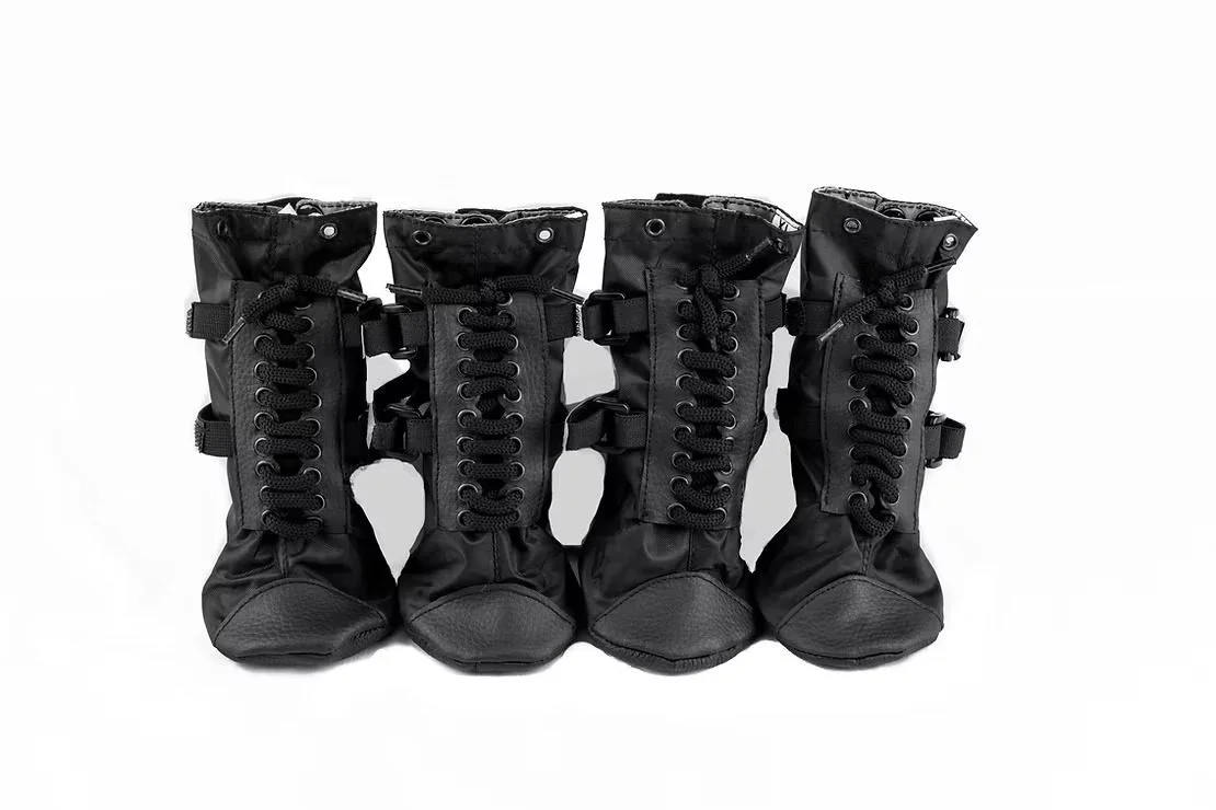 Are Dog Boots Necessary? A Simple Guide for Pet Owners 1 089e78 484b512882ad4a6aa2ee14253e8692femv2 d 6000 4000 s 4 2